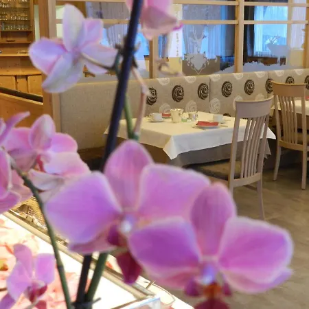 Hotel Garni Mezdi 3*